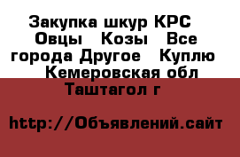 Закупка шкур КРС , Овцы , Козы - Все города Другое » Куплю   . Кемеровская обл.,Таштагол г.